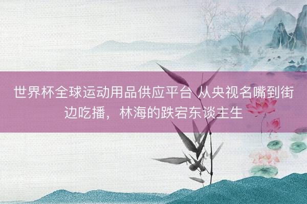 世界杯全球運(yùn)動用品供應(yīng)平臺 從央視名嘴到街邊吃播，林海的跌宕東談主生