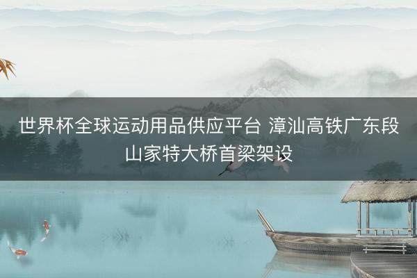 世界杯全球運動用品供應平臺 漳汕高鐵廣東段山家特大橋首梁架設