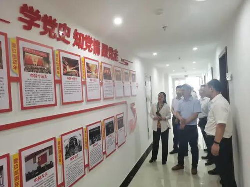 弘揚渡河精神，打造魅力孫口——臺前縣孫口鎮開展喜迎建黨百年主題黨日活動